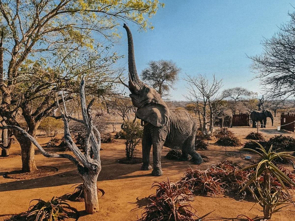 Tshukudu Game Lodge Hoedspruit Exterior foto